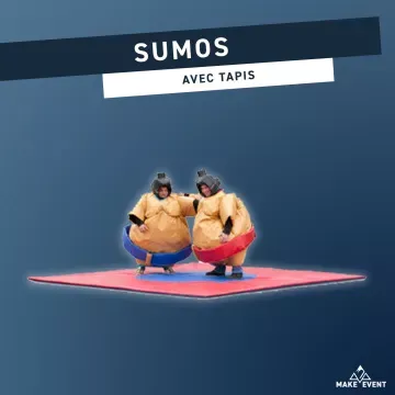 SUMOS, Grenoble, Make Alpes Event